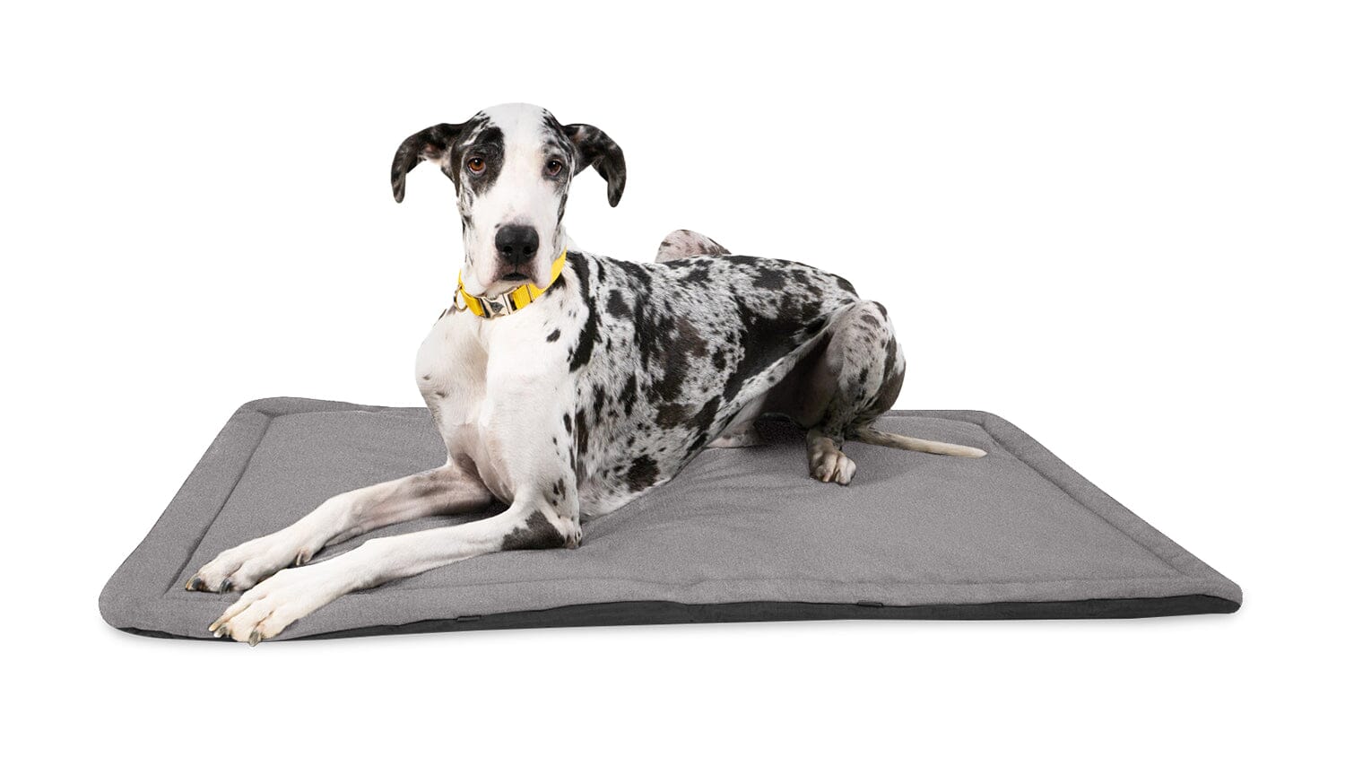 Tough Rip Stop Dog Crate Pad Open Box K9 Ballistics Chew Resistant And More