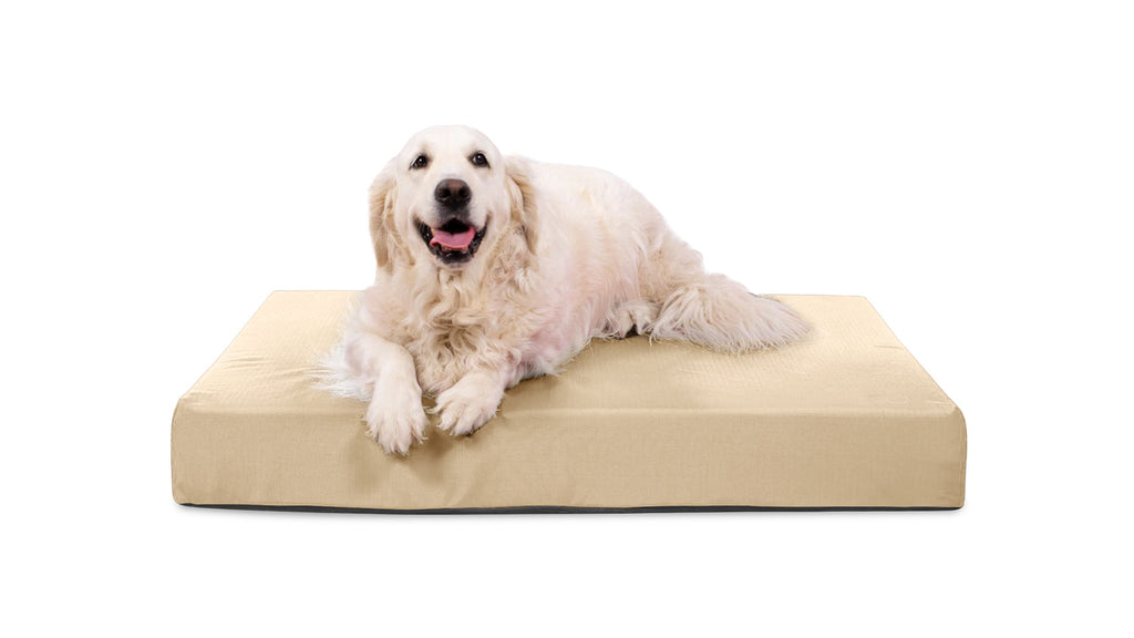 Tough Rip-Stop™ Rectangle Orthopedic Dog Bed