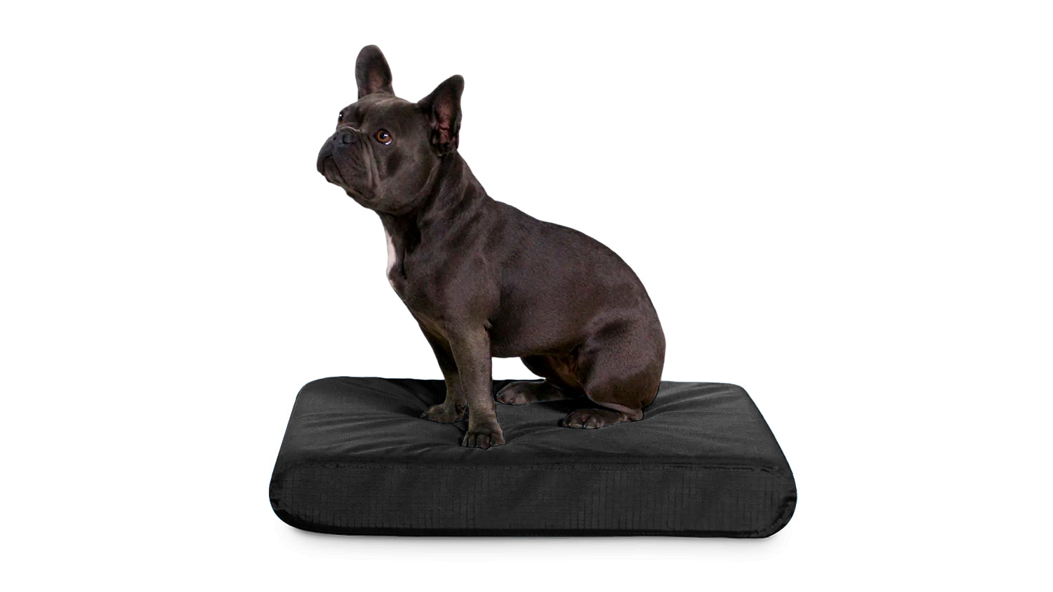 Tough Rip-Stop™ 3.5 Bolster Orthopedic Dog Bed - Cover - Obsidian Black /  Medium (33 L x 27 W x 9 H)