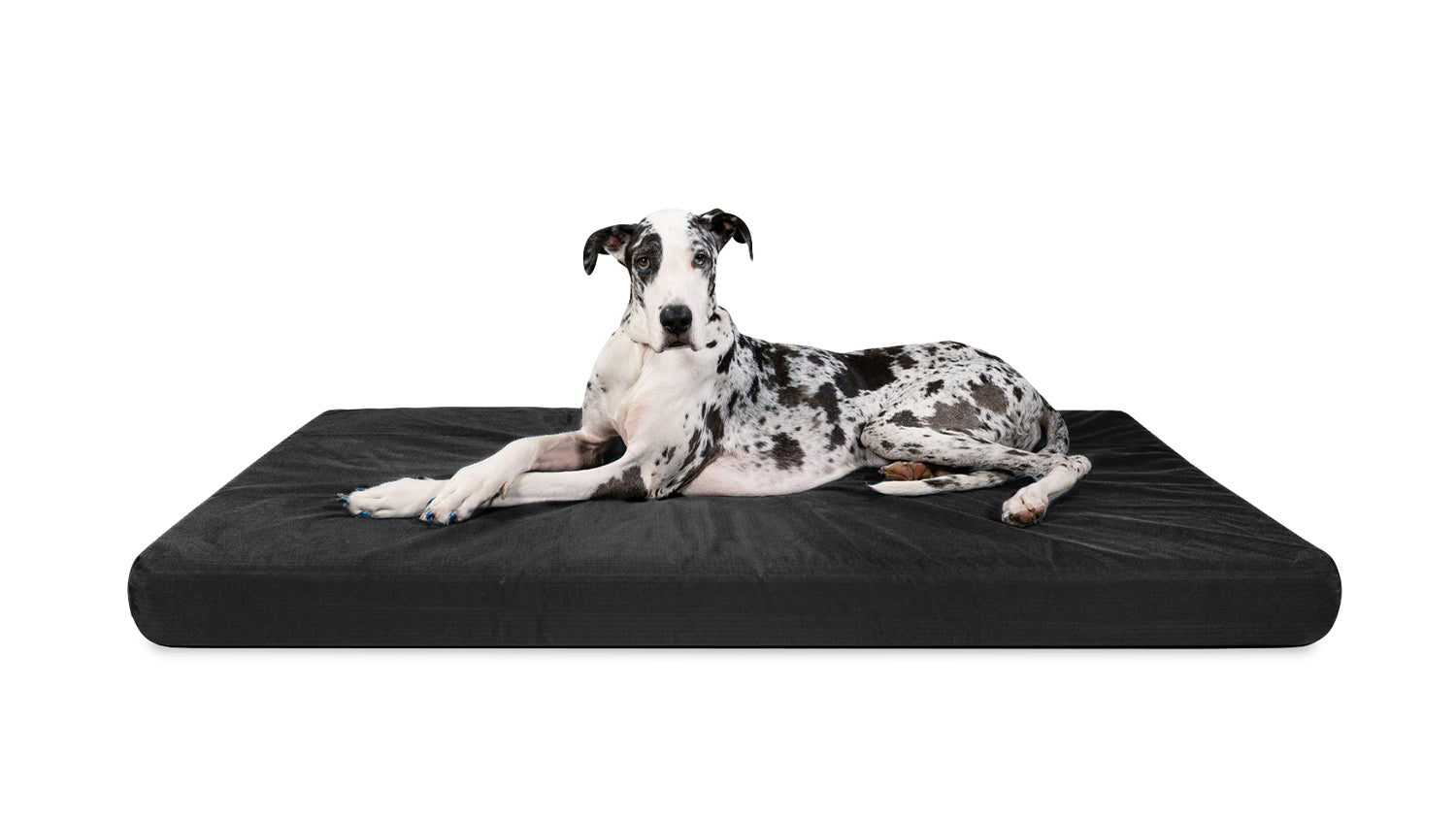 K9 Ballistics Tough Rip-Stop Rectangle Orthopedic Dog Bed, Obsidian Black / Medium (33 L x 27 W x 5” H)