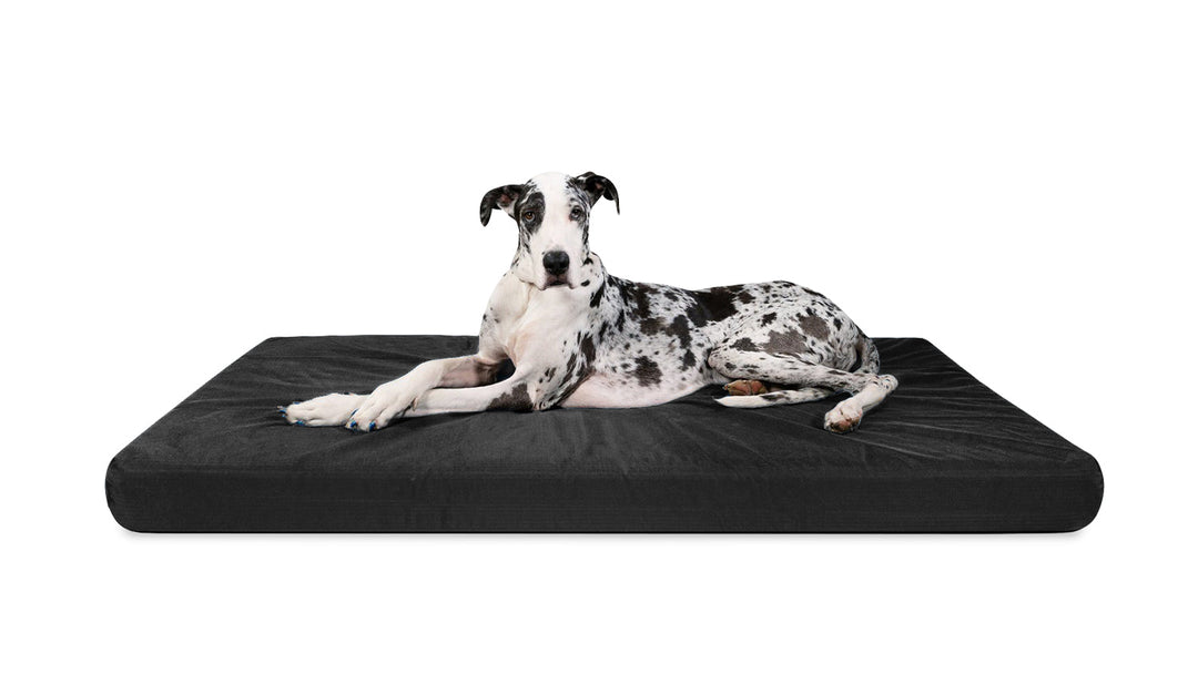 Tough Rip-Stop™ Rectangle Orthopedic Dog Bed | K9 Ballistics