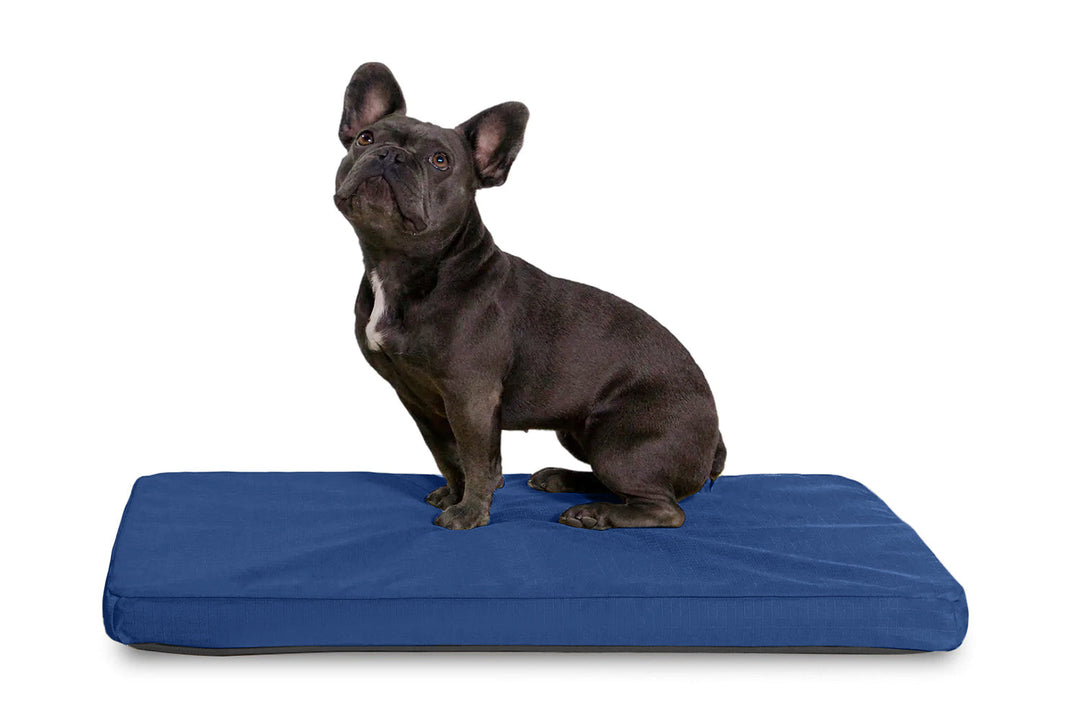 Stunning Waterproof Flat Dog Crate Bed Covers image