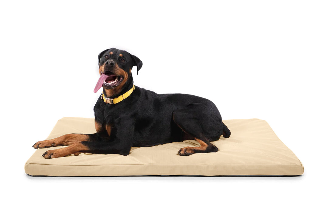 Curated visual reference: Picture Idea: Tough Rip Stop Orthopedic Dog Crate Bed