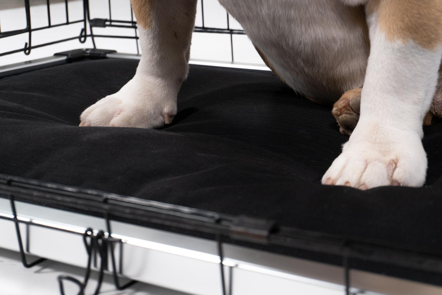 A closer look at Reinforced Edge Dog Crate Pads