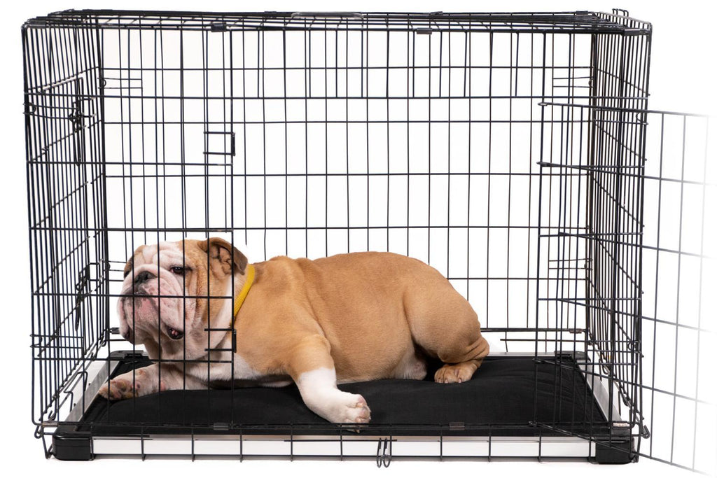 Chew Proof Armored Dog Crate Pad™