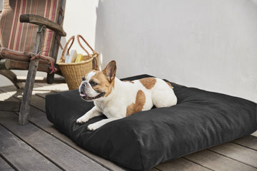 Tough Rip-Stop™ Rectangle Pillow Dog Bed (Seasonal Colors)