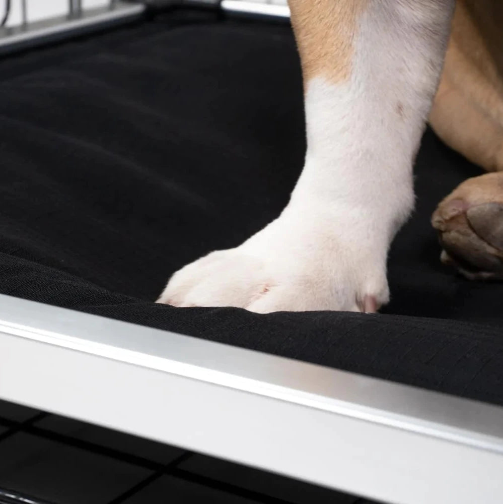 Chew Proof Armored™ Padded Elevated Dog Crate Bed Open Box