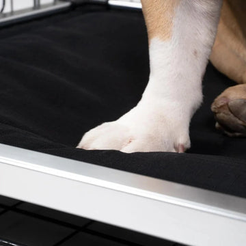 Chew Proof Armored™ Padded Elevated Dog Crate Bed Open Box