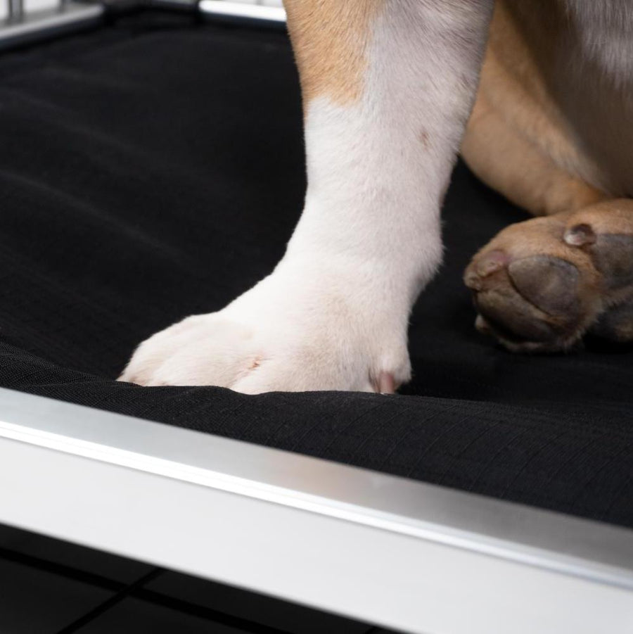 Photo inspiration: Curated Padded Dog Crate Frame Kit Gallery View 29