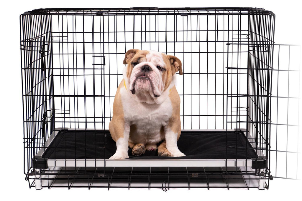 Chew Proof Armored Elevated Padded Dog Crate Bed™