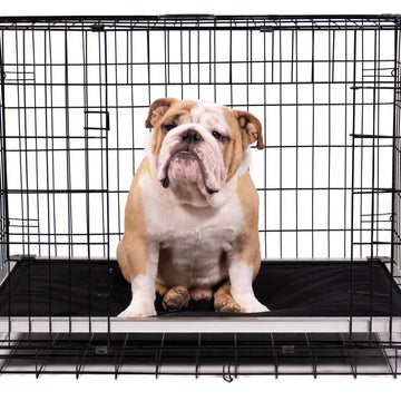 Chew Proof Armored™ Padded Dog Crate Bed