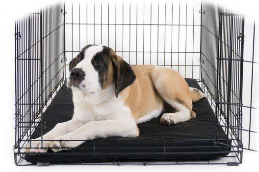 Arlee Crate Mat Rectangle Pet Dog Pad - Memory Foam Orthopedic